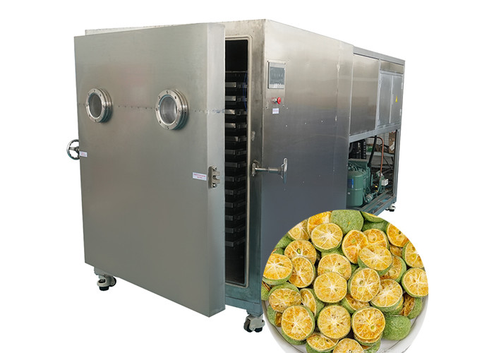 Premium Active Large Lyo Freeze Dryer 100kg/Batch Bitzer Refrigeration