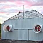 Hydroponic Poly Tunnel Blackout Auto Light Deprivation Greenhouse Medical Herbs