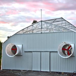 China Hydroponic Poly Tunnel Blackout Auto Light Deprivation Greenhouse Medical Herbs Growing wholesale