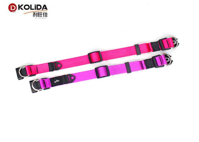 Personalized Nylon Dog Collars Custom Double D Ring Release Buckle C605
