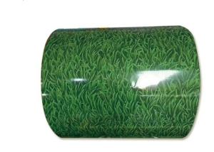 China 1200mm PPGI Steel Coil wholesale