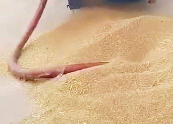 Low Noise 3 Tons/H Grain Collecting Machine Wide Flap Grain Suction Machine