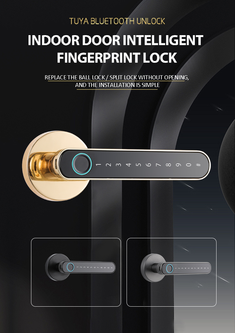 Bluetooth / Tuya APP Smart Door Knob Fingerprint Zinc Alloy Material