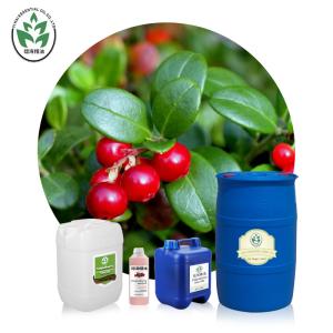 China OEM ODM Lingonberry Seed Oil Carrier Oil Massage Use Health Care wholesale