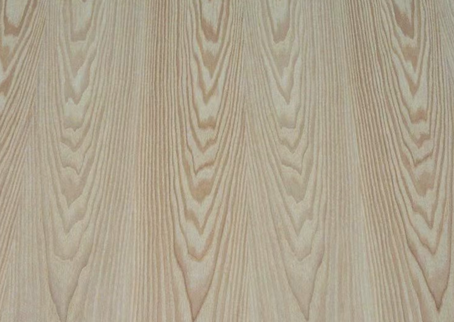 Ash veneer sheets Decorative Panel 2.44m Length