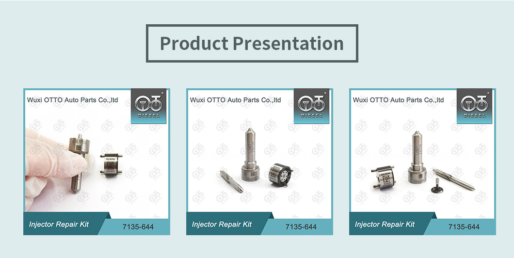Nozzle-Valve Kit 7135-644 Delphi Injector Repair Kit For Injector 28232242 With Nozzle L087PBD