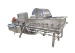 vortex Vegetable 1000KG/H Washing Machine Tumbler