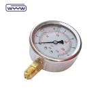 China manufacturer stainless steel 1/4"bsp glycerin pressure gauge 16 bars
