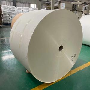 China 13gsm 14gsm PE Coated Paper Roll ISO Paper Cup Raw Materials wholesale