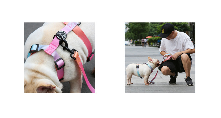 Gradient Pet Collars Leashes Set 150Cm Chain Length Seat Belt Buckle Dog Collar