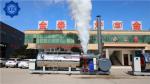 Automatic Horizontal Oil Lpg Gas Fired Condensing Steam Boiler for Food