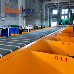 8000p/H Sorted Cartons Narrow Belt Sorter For Supermarket Distribution