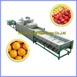 China citrus orange cleaning, wax polishing ,grading machine wholesale