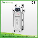 4 handles fat freezing Cryolipolysis cold body sculpting machine