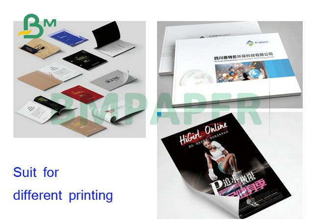 80gsm 100gsm 120gsm 640 x 900mm Matte Coated Double Sided Paper For Inkjet Printing 
