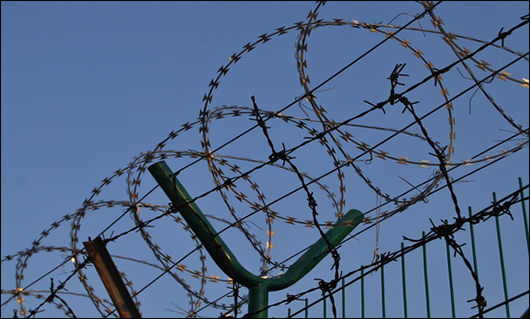 Galvanized Steel Razor Wire Barbed Wire Mesh For Protection Certified by ISO9001 2008