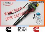 Neutral QSK19 QSK60 Fuel Injector F00BL0J019 2867149 4964173 4955527 4964170