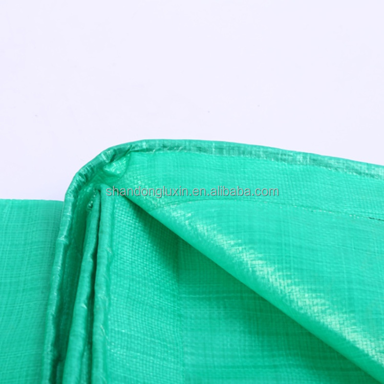 UV Protected Plastic Fabric Sheet for Agriculture/Industrial Cover in Standard Size