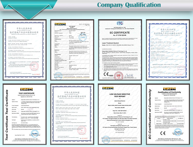 Nd YAG Laser Tattoo Removal Or Blood Vessels Removal Stationary Style