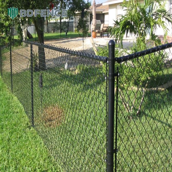 Color PVC Coated 2.5mm Privacy Chain Link Fence System Price Galvanized Chain Link Fence