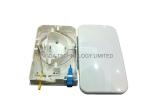 FTTH Wall mounted Box 2 Port Fiber Optic Termination Box SC LC Duplex fiber box