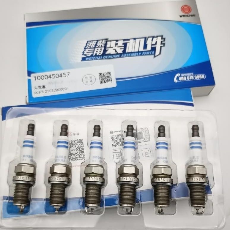 OEM Support Weichai WP10 WP12 Natural Gas Engine Spark Plugs 1000450457 610800190174