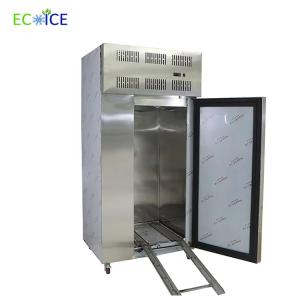 China Automatic Commercial Fast Cooling Automatic 650 L Blast Freezer for Sale wholesale