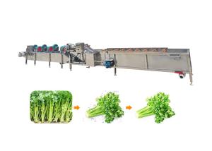 China Ss304 1500kg/H Fruit And Vegetable Processing Machine wholesale