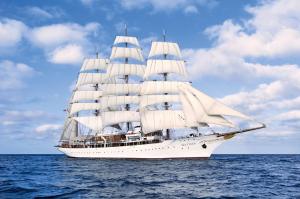 China Fitting Deck Boards on a Clipper Ship wholesale