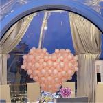 Luxury Transparent Bubble Tent UV Protection ISO Party Dome Tent