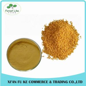 China 100% Pure Natural Non GMO Kosher Halal Certified 10:1 Purple Corn Seed Extract Powder wholesale