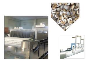 China Soybean Belt Food Sterilization Equipment Tunnel Structure Stainless Steel Material wholesale