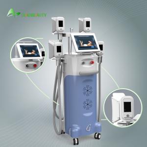 China Professional 4 Hand Pieces Apparatus Fat Cryolipolysis Slimming Machine wholesale