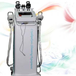 China Freeze fat non-surgical liposuction system crylipolysis slimming machine wholesale