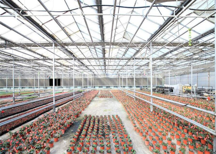 Stable Transmittance Garden Glass Greenhouse 6mm Polycarbonate Twin Wall Covering