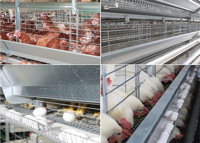 Long Life Q195 Steel Wire Layer Chicken Cage 3/4 Tier Layer Cage