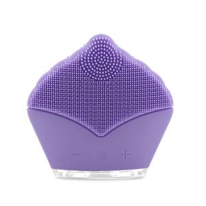 China Dermabrasion Vibrating Rechargeable Facial Cleansing Brush DC 3.7 V Power wholesale