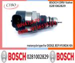 BOSCH DRV Valve 0281002829 Control Valve 0281002829 For DODGE JEEP HYUNDAI KIA