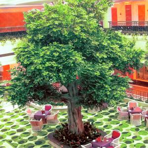 China Fiber Glass Trunk Artificial Landscape Trees Anti Fading For Patio wholesale