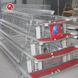 China Hot And Cold Galvanized Battery Cage System In Poultry wholesale