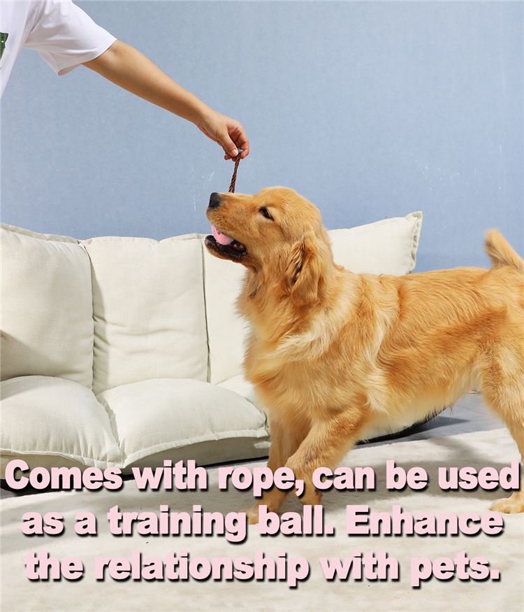 Hot Sale Dental Chew Knotting Bone Cleaning Brushing Toothbrush Teeth Leaking Stick For Dogs