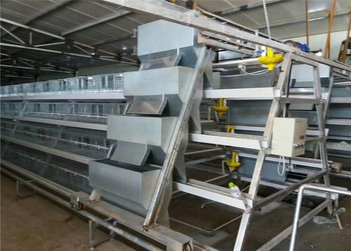 Energy Saving Layer Poultry Farming Equipment Anti - Corrosion Q235 Steel Wire Material