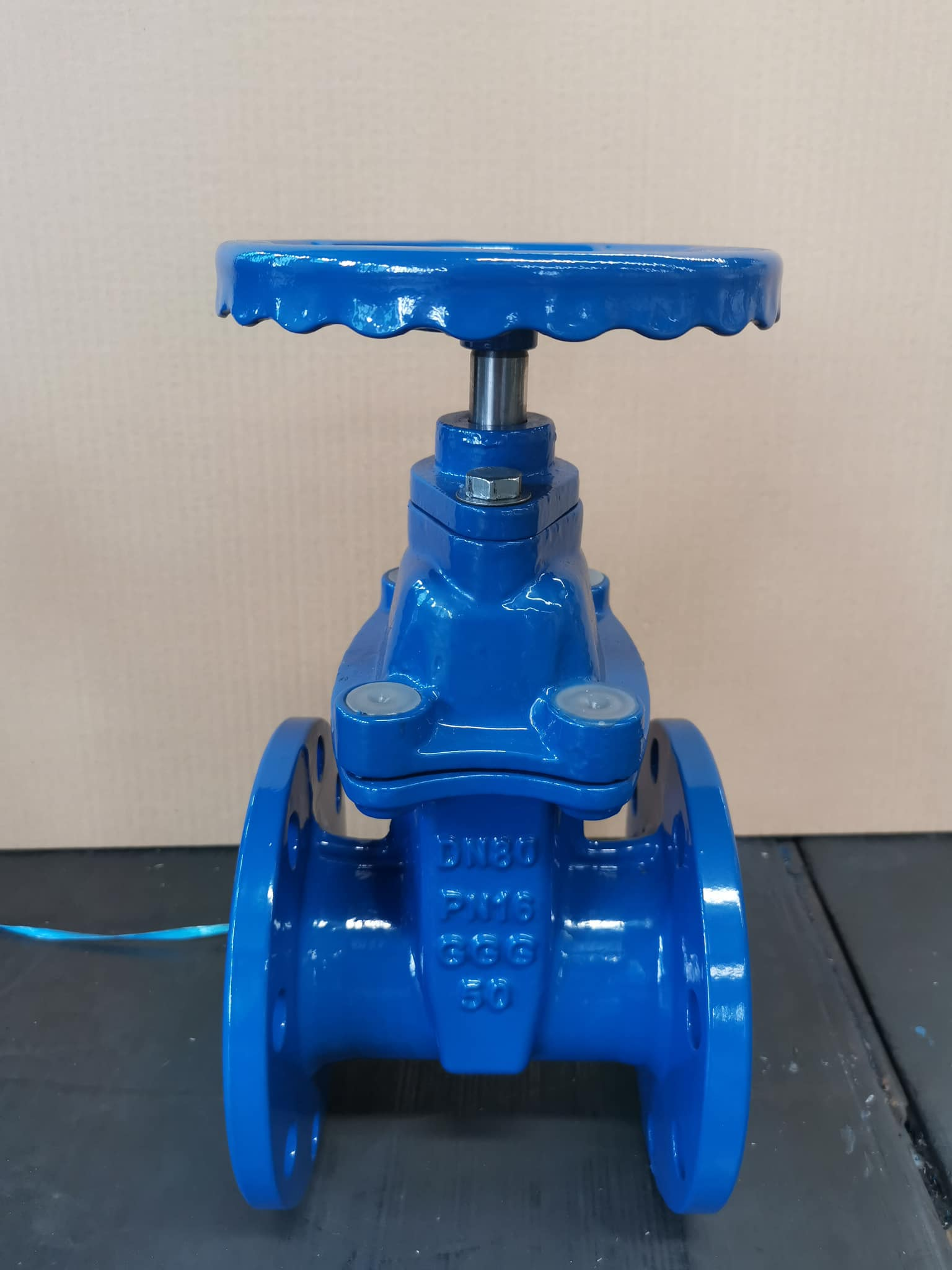 OEM Support CI/DI/WCB/SS Lockable Forged Gate Valve with Customized Design
