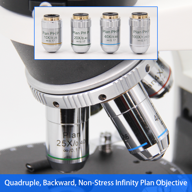 Trinocular Polarizing Light Microscope