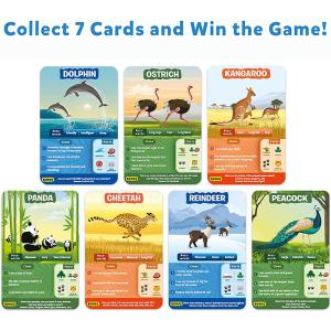 China Super Fun for Travel &amp; Family Game Night Custom design Wholesale OEM VN Supplier Playing cards wholesale
