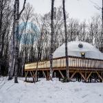 Heat Proof Aluminium Glamping Dome Tent 310 Square Feet With Wood Stove