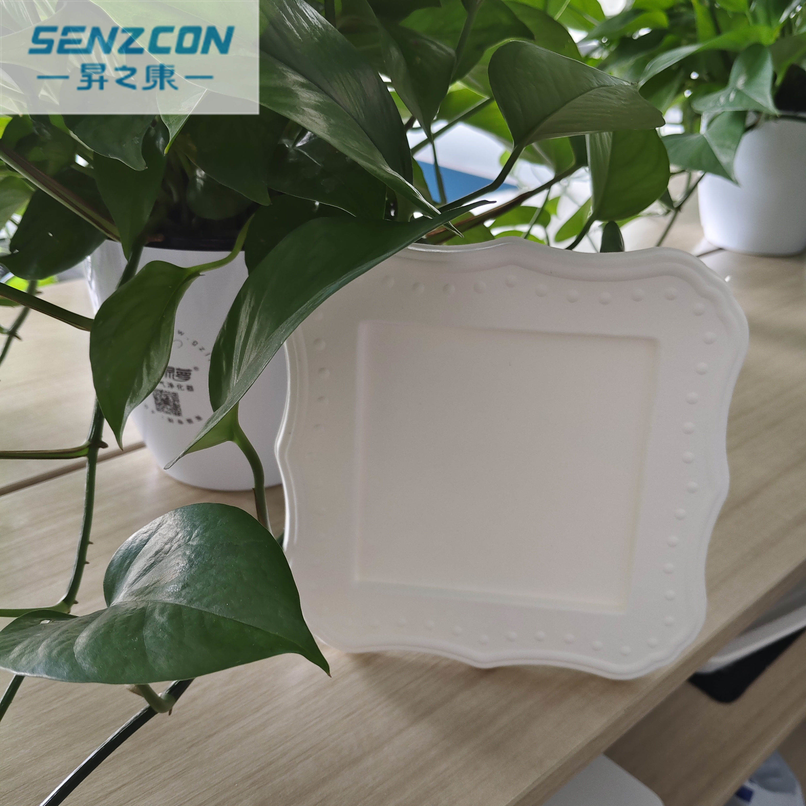 Ningbo factory exports high-end pulp molding products, including art photo frames, which are environmentally friendly and biodegradable.