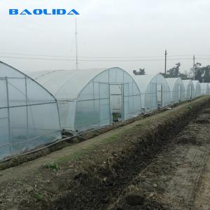 China Plants Planting Agriculture Standard Plastic Film 8m 60m Pe Film Single Span Greenhouse wholesale