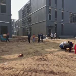 China Q355B Steel Frame Multi Story Steel Structure Office Building wholesale