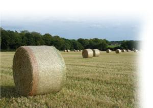 China Hdpe Bale Net Wrap wholesale